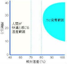 カビの発育と湿度 カビの発育と湿度
